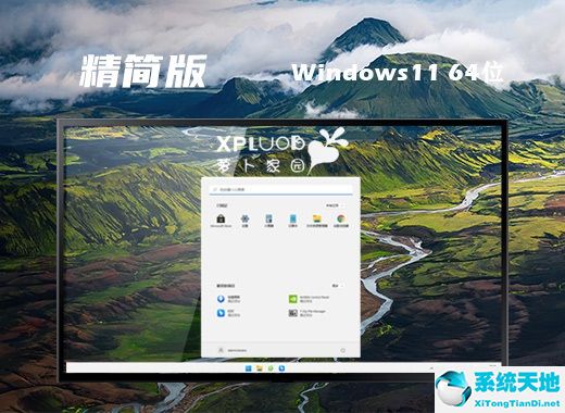 蘿卜家園  Win11 ISO鏡像 64位 精簡版系統(tǒng) v2022.07