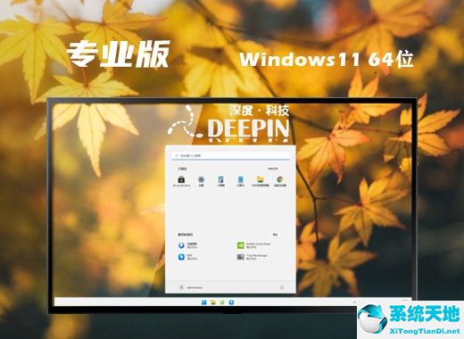深度技術(shù) ISO Win11 64位完整專業(yè)版 v2022.07