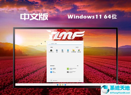 雨林木風 ISO Win11 64位最新中文版 v2022.08