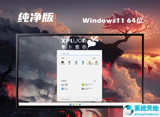 蘿卜家園 22H2 Win11 64位鏡像純凈版 v2022.08