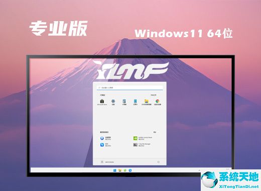 雨林木風 ISO Win11 64位中文專業(yè)版 v2022.09